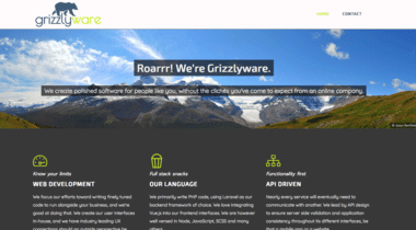 Website screenshot